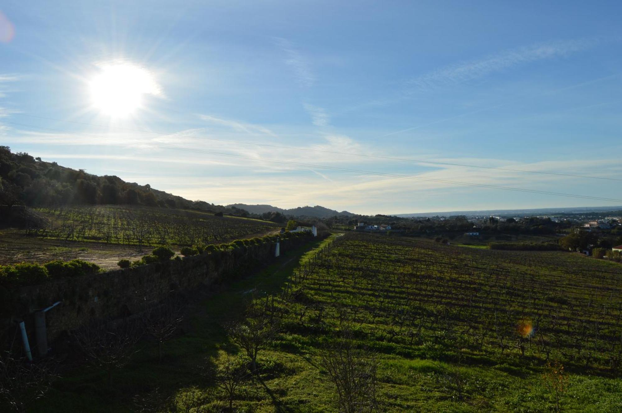 Quinta Do Piloto Landhaus Palmela