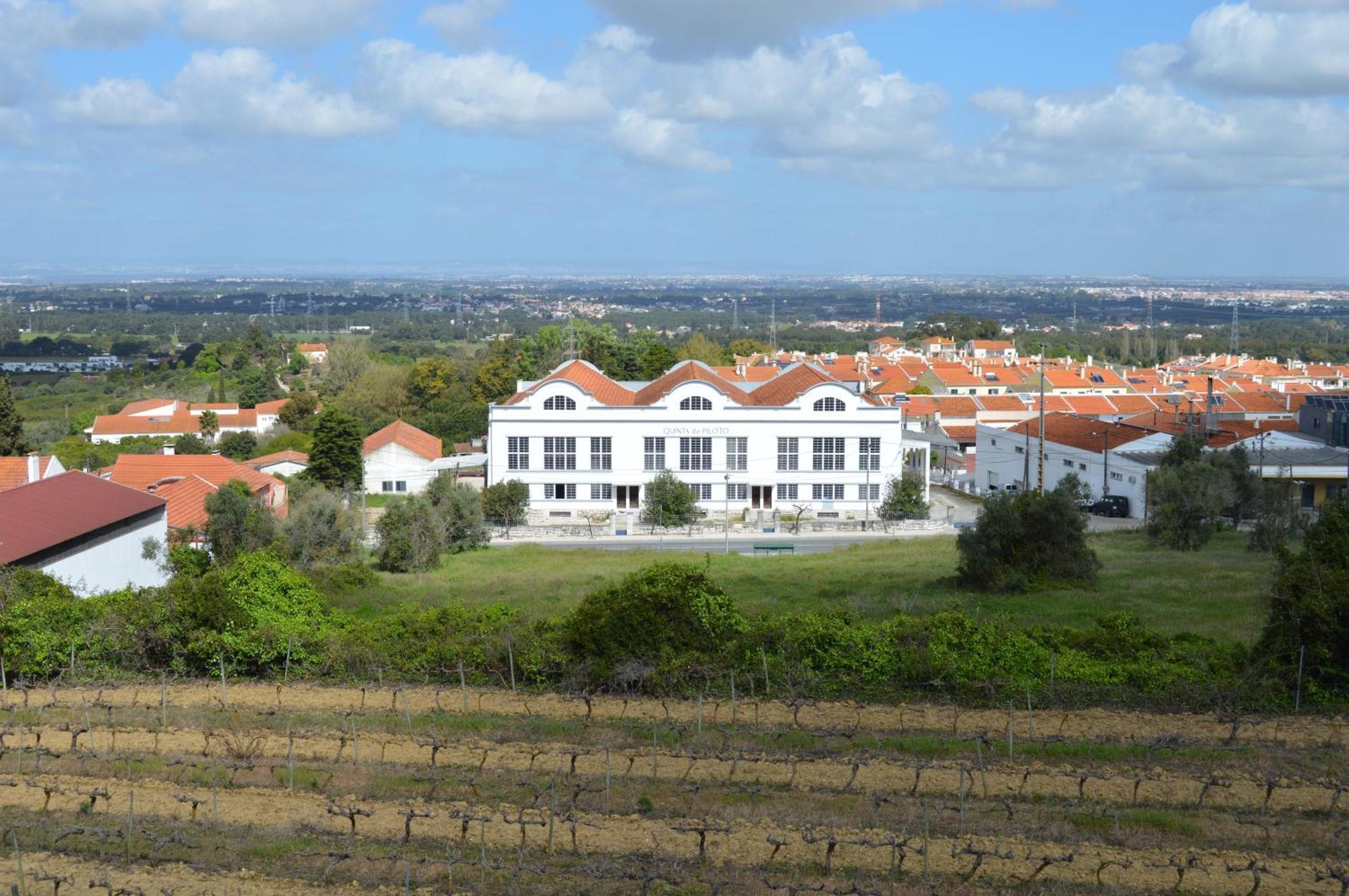 Landhaus Quinta Do Piloto *