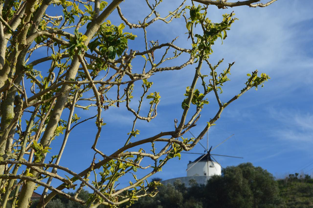 Quinta Do Piloto Palmela