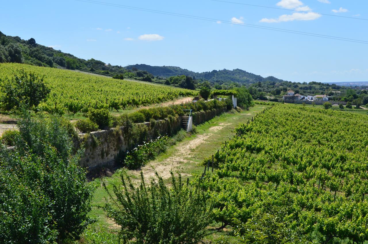 Quinta Do Piloto